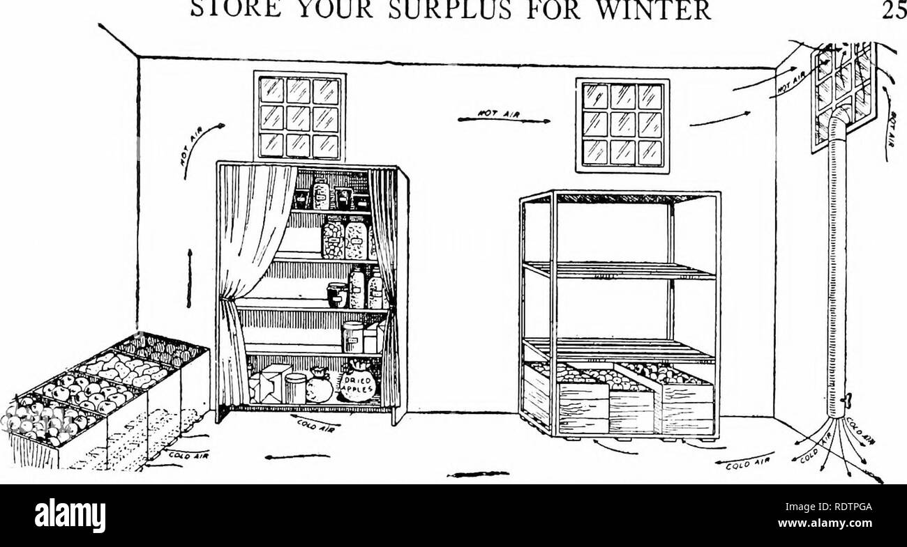 . Der Krieg Garten siegreich. Gemüseanbau; Weltkrieg, 1914-1918. Ihre überschüssigen STORE FÜR DEN WINTER. Abb. - 1 - Dieses schlägt vor, eine Regelung für die Lagerung in einem kühlen Keller. Masse, ist am besten, da es gibt einige Feuchtigkeit. Wenn der Boden ist aus Beton mit 2 oder 3 Zoll von Sand bedeckt sein sollte und dies sollte bestreut witir Wasser gelegentlich werden. In der Zeichnung ein Bereich im oberen Teil eines% vindov angezeigt zu fehlen. Dies ist das Entweichen von Luft zu ermöglichen. In stark Kälte schließen diese Öffnungen. Der Ofen Rohr in den Ort für eine der unteren Teilfenster läßt Co eingebaut Stockfoto