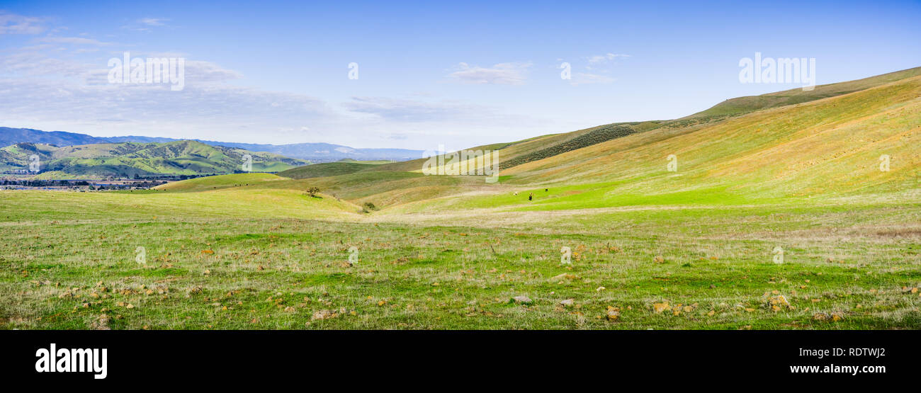 Schöner Panoramablick auf die grünen Hügel im Süden von South San Francisco Bay Area, San Jose, Kalifornien Stockfoto