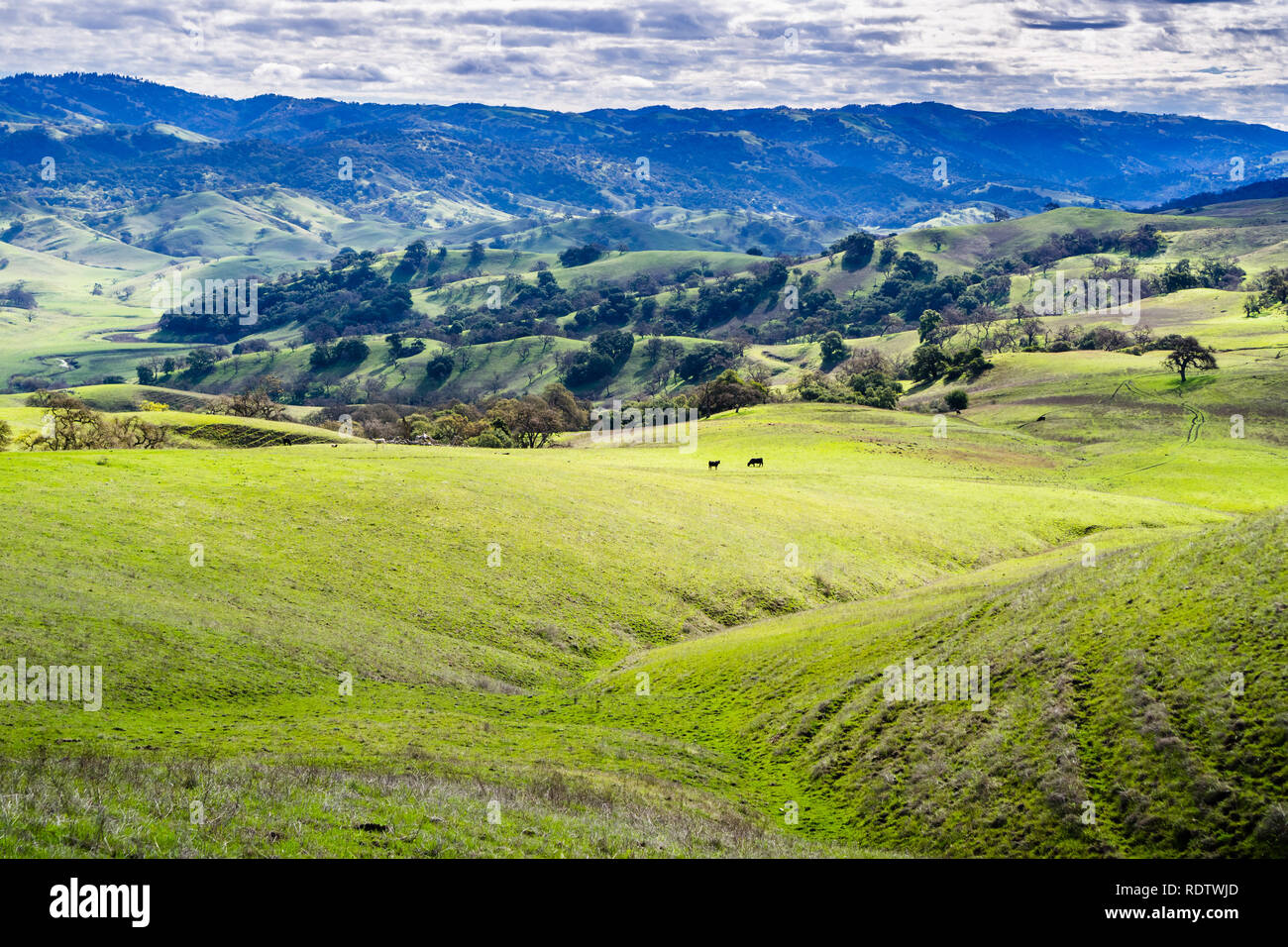 Schöne Aussicht auf die grünen Hügel südlich von San Jose, San Francisco Bay Area, Kalifornien Stockfoto