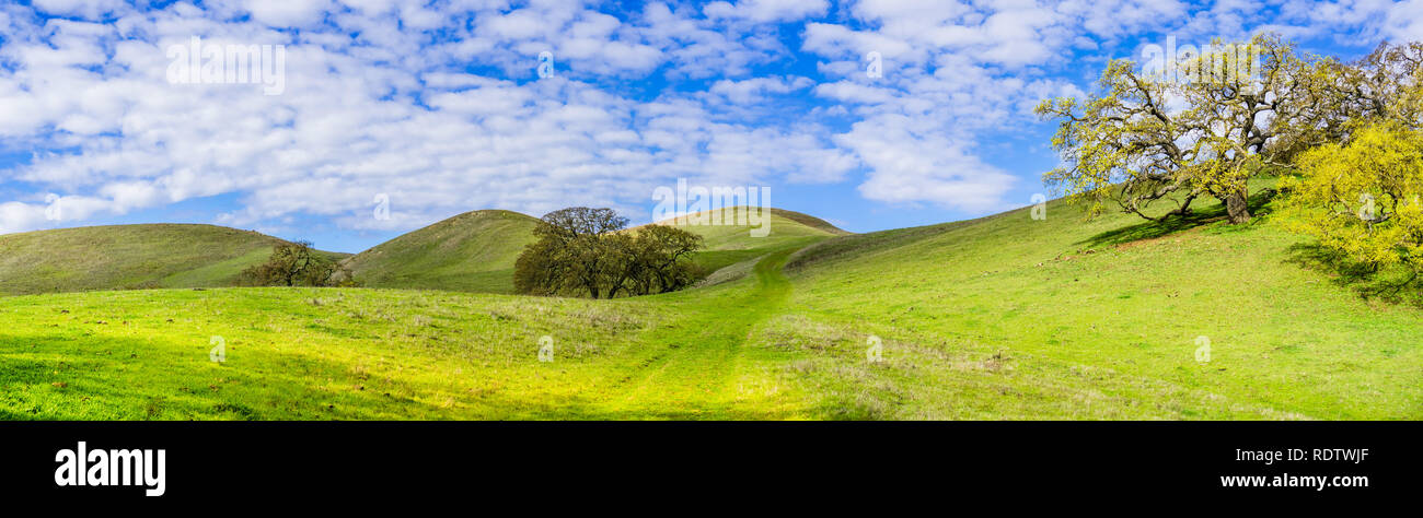 Wanderweg durch die grünen Hügel von South San Francisco Bay Area, San Jose, Kalifornien Stockfoto