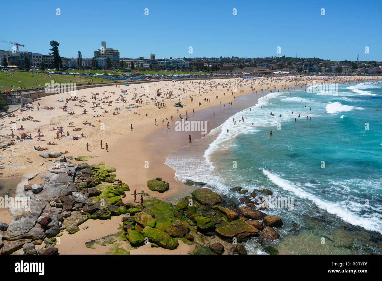 Panorama von Bondi Beach an einem heißen Sommertag mit blauem Himmel in Sydney NSW Australien Stockfoto