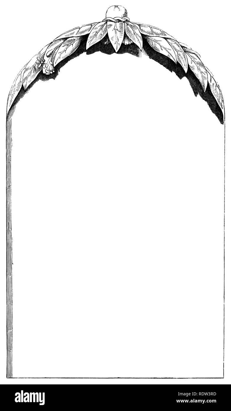 Tropische Inselgrenze von 1850 Gravur Stockfoto