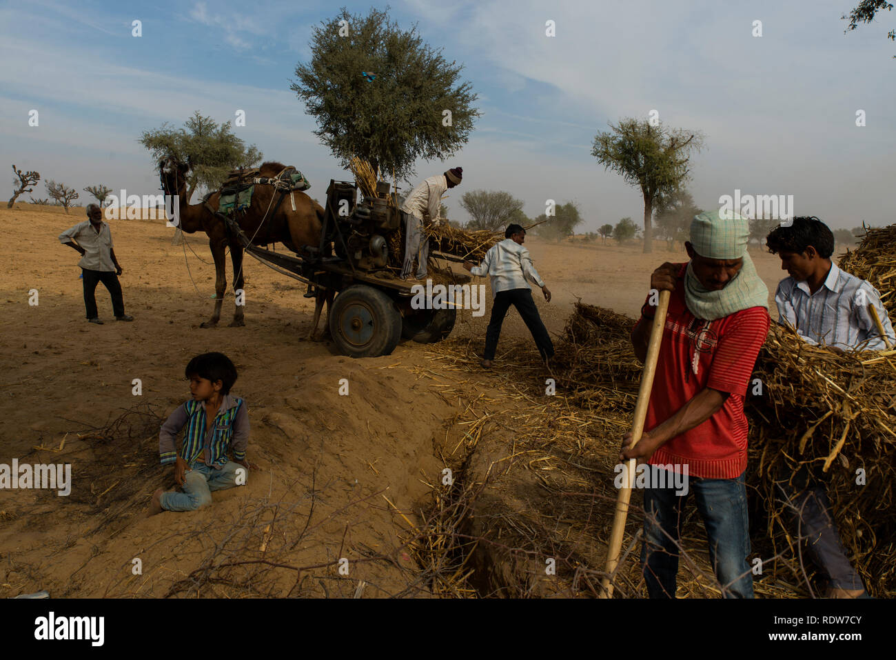 Leben in der Wüste Thar, Rajasthan Stockfoto
