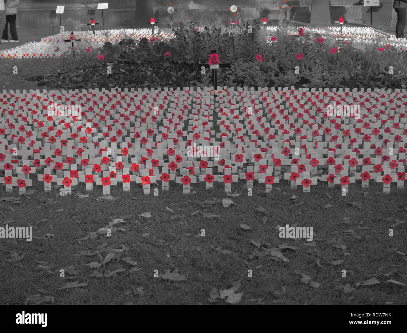 Schwarz & Weiß Gedenken Kreuze und Mohn an der Scott Monument in Edinburgh - Schottland Stockfoto