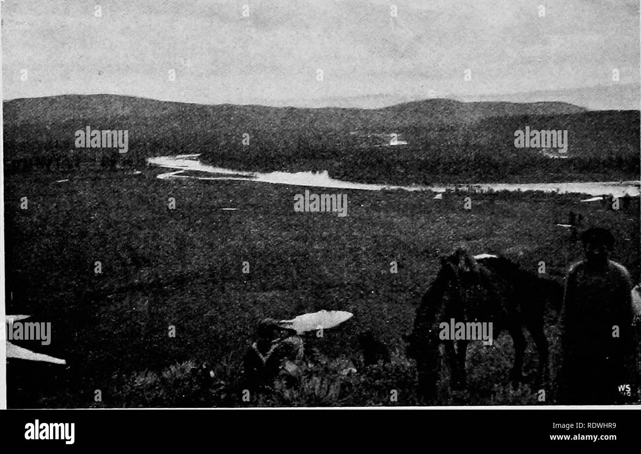 . Die Vegetation der Sayansk Siberian-Mongolian Grenzen (der Region). Botanik; Botanik. Yar. a/pinum, was sehr häufig ist und charakteristischen in ähnlichen Gemeinden. Im Folgenden werde ich einen Überblick über die Pflanzen, mit der ich zu Ust Tara met-Kem geben, um die Zusammensetzung der Vegetation dieser Regionen zu veranschaulichen. In der Lärche - Wald und Holz - Steppen, die folgenden Arten von Pflanzen, ihren Stempel geben, die Landschaft, sind häufig:. Abb. 56. Look-out auf sumpfigen Land an der Dora Steppe, in der Nähe des Heiligen Sees Todshi-kul. Die declivities im Vordergrund sind mit Lupinus pumila gewachsen Stockfoto