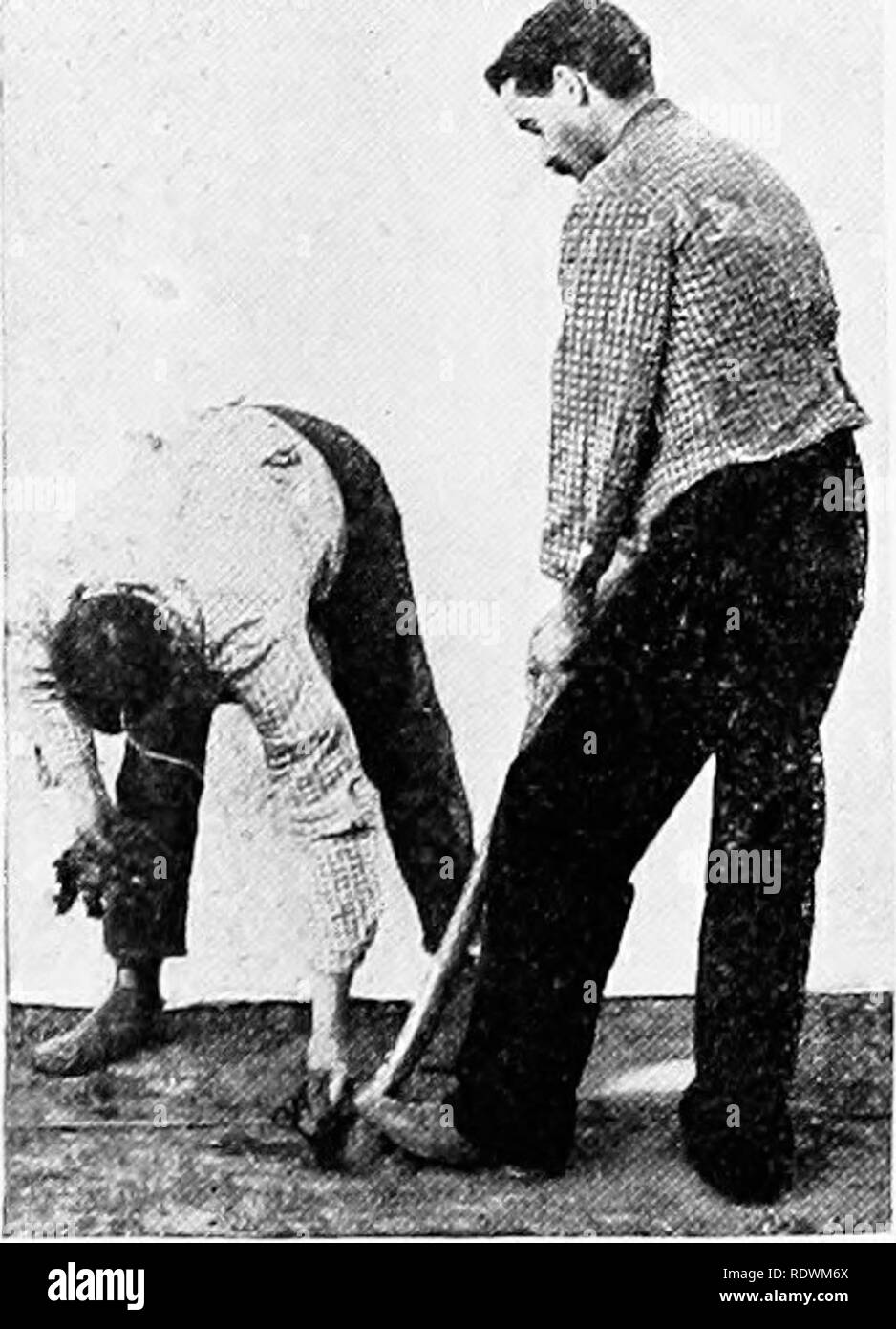 . Grundsätze der Pflanze Kultur; eine elementare Abhandlung als text-Buch für Anfänger in der Landwirtschaft und im Gartenbau. Gartenbau, Botanik. 238 Grundsätze der Pflanze Kultur. feucht, und sollten genau über die Wurzeln gedrückt werden. Die Details der Blumenerde sind bei Schweinen gezeigt. 147 bis 160. Die Verlagerung ist die Änderung einer Anlage von einem Topf in einen anderen, in der Regel einem größeren. Pflanzen in kleinen Töpfen sind in der Regel so oft wie ihre Wurzeln zu Gast beginnen, verschoben und die Verschiebung ist so lang wie ein weiteres Wachstum wird erwartet. Wenn Bloom ist gewünscht, die Töpfe sind erlauben - ted mit Wurzeln gefüllt zu werden ( Stockfoto