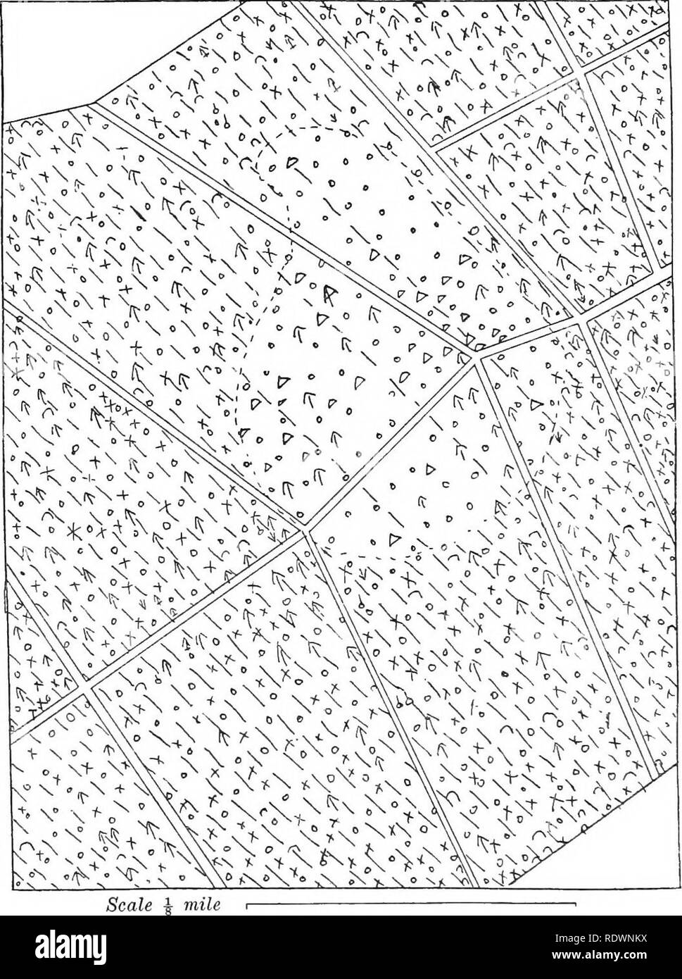 . Arten von britischen Vegetation. Botanik. 184 Sub - Bildung der Mergel- und kalkhaltigen Sa/ndstones. Erläuterung OP SYMBOLE° Querous Eobur ein Salix cinerea "Fraxiuus Excelsior - ich Viburnum opulus Corylus Avellana ich ^^V. Lantana^^ Acer campestre^ Betula spp, '^Populus tremula j) ar. villosa T=Pyrus torminalis Abb. 6. Diagramm, in dem die Bäume und Sträucher eines Teils der Gamlingay Holz, Cambs., eine Insel der trockenen Oakwood Association (auf sandigen Lehm) in Esche, Eiche eingeschlossen - Hazel Wood fon kalkhaltigen Boulder-Ton). Bitte beachten Sie, dass diese Bilder aus gescannten Seite Bilder, hav können extrahiert werden Stockfoto