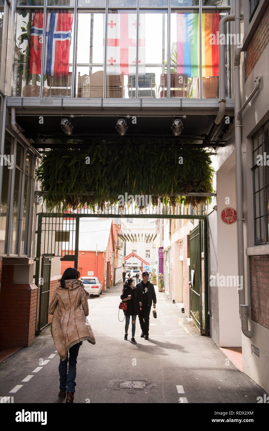 Der Hannah Factory Gasse in Te Aro, Wellington, Neuseeland. Stockfoto