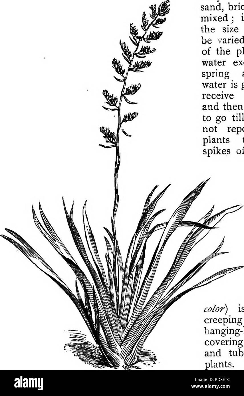 Das Buch Der Gartenarbeit Ein Handbuch Der Gartenbau Gartenbau Gartenbau 754 Das Buch Der Gartenarbeit Betten