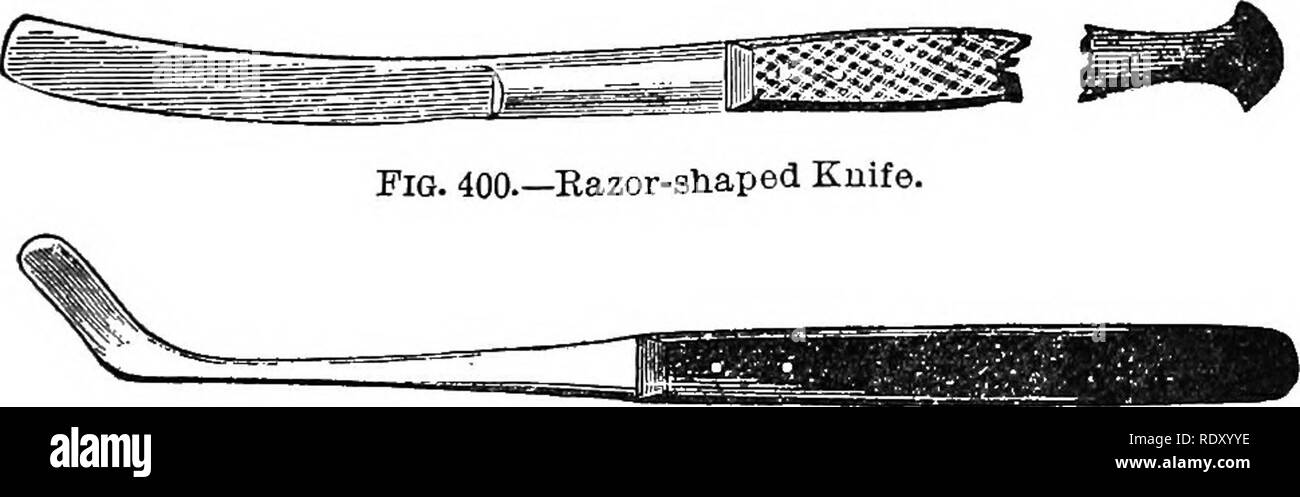 . Handbuch der operativen Tierarztes. Tierarztes. Abb. 399 - Trachealen Tampon Cauula. tampon; eine Kanüle, gebildet von einer langen tracheotomie Rohr, mit einer Kautschuk Beutel um die Mitte. Diese Tasche ist durch ein Indien aufgeblasen - Gummi Luft-Pumpe, nach dem Einlegen der Schlauch in die Luftröhre, und ist nützlich, lq verhindern, die den Fluss des Blutes in die bronchii während des Pferdes nach der Operation aufstehen und für haK eine Stunde später. Andere Instrumente erforderlich sind, um eine gestochen geformte Messer, die die vrith cartUage zu besteuern; ein Messer verbogen, mit denen die Muskeln aus dem entfernen Stockfoto