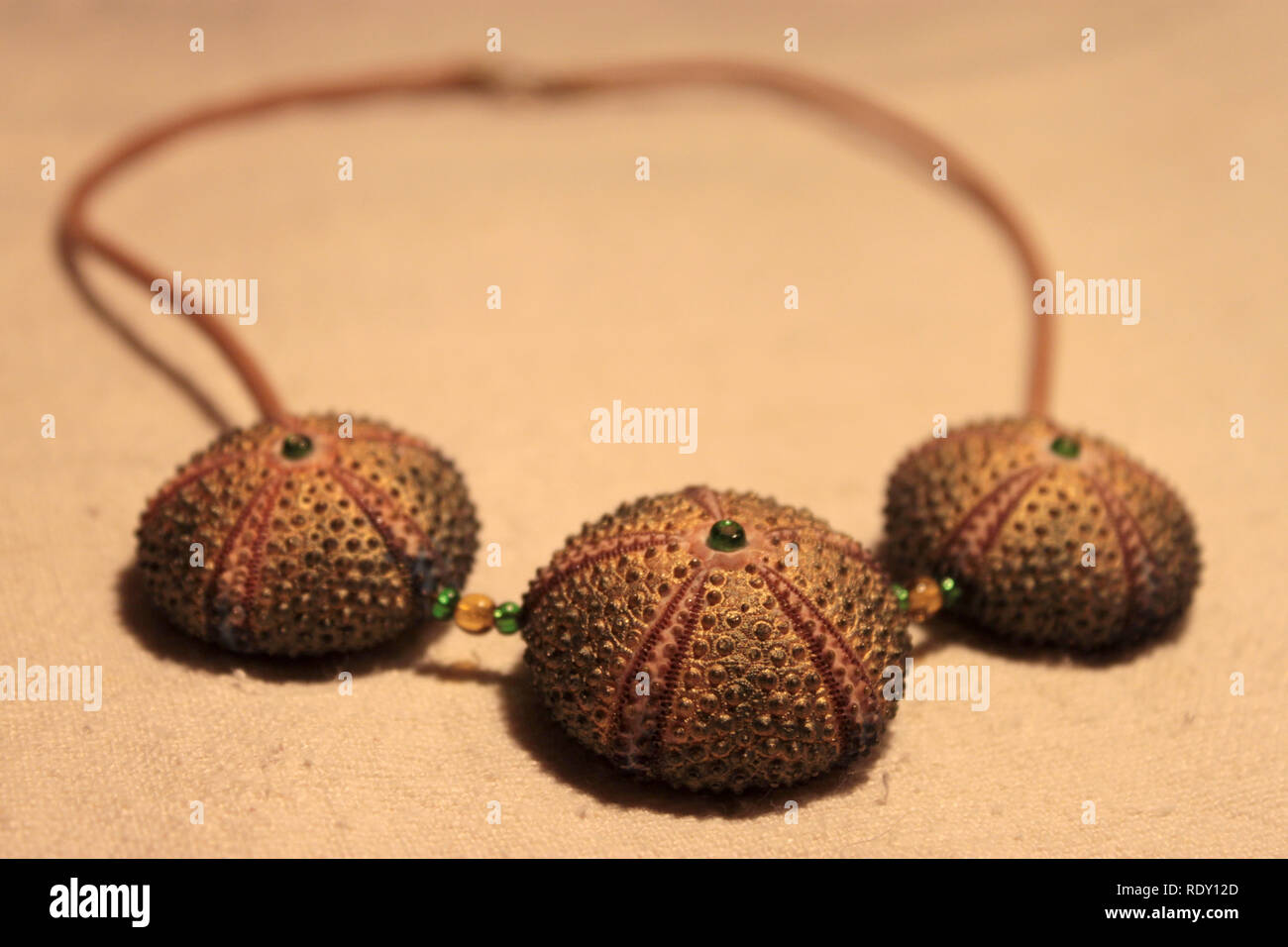Handamde Halskette aus natürlichen Materialien (Seeigel Schalen) Stockfoto