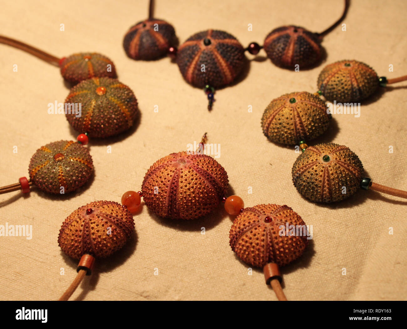 Handamde Halskette aus natürlichen Materialien (Seeigel Schalen) Stockfoto