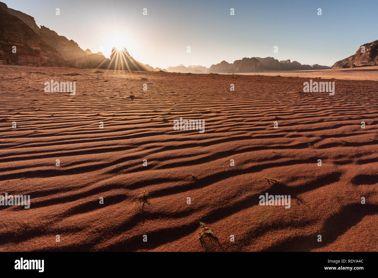 Wüstenlandschaft Wadi Rum Wüste in Jordanien bei Sonnenaufgang Stockfoto