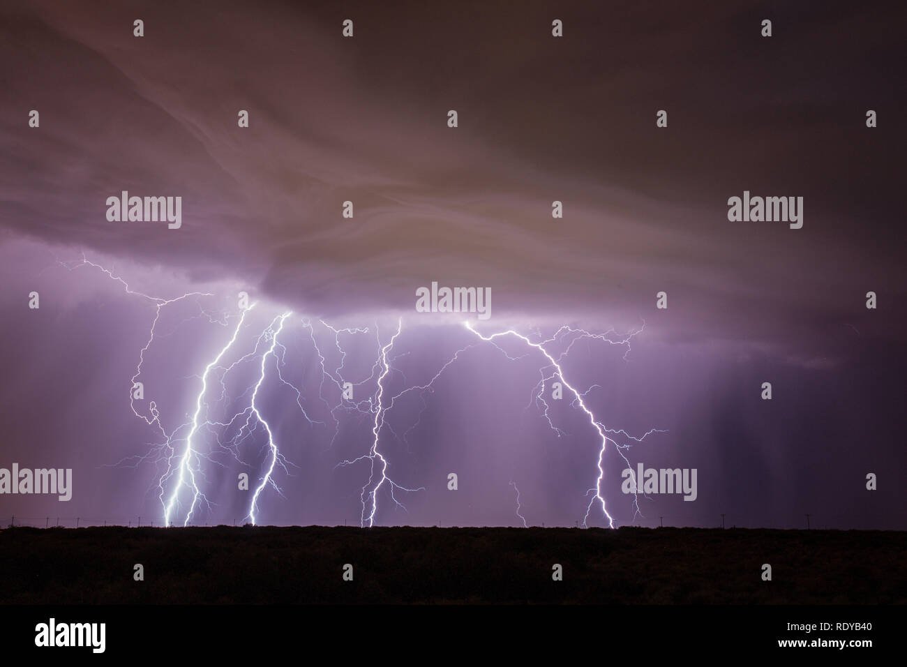 Blitz beleuchtet Wolken über der Wüste in der Nähe von Santa Teresa, New Mexiko geformt Stockfoto