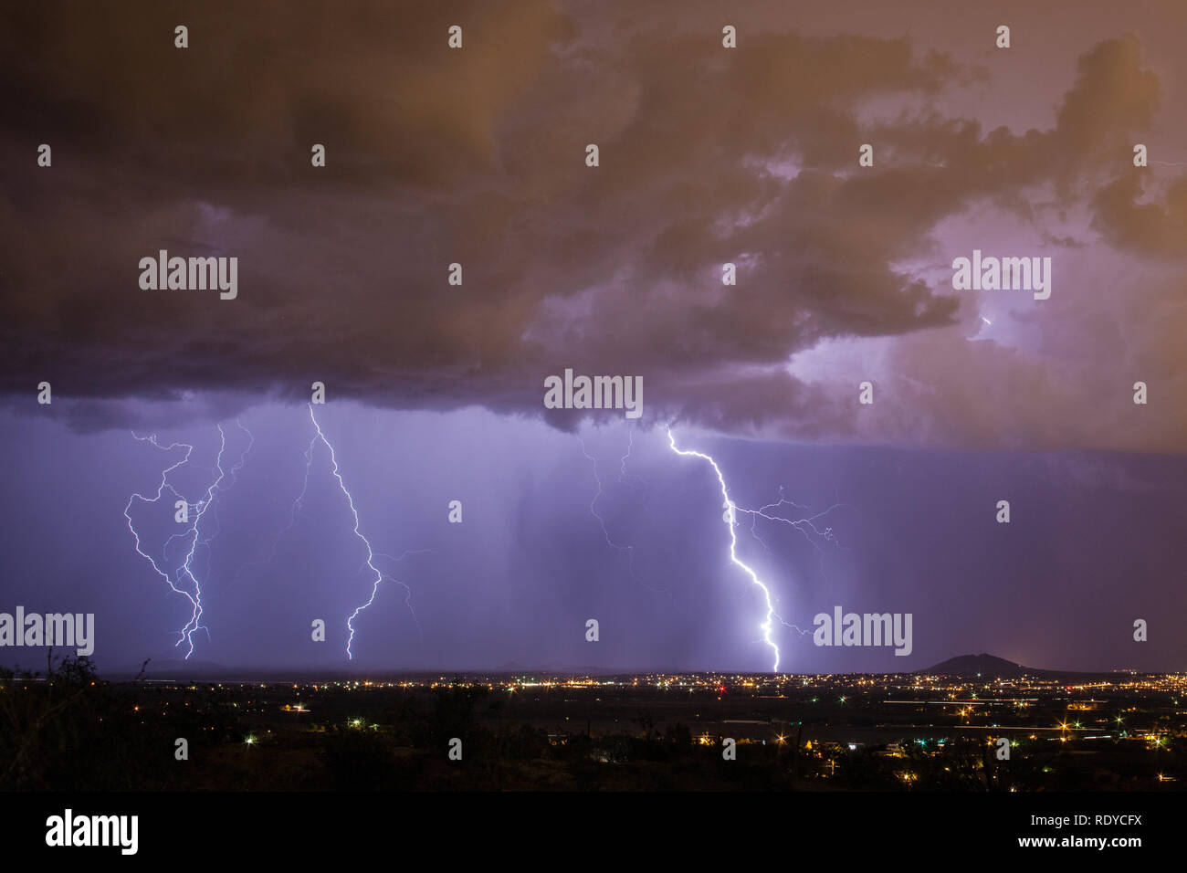Starker Regen und lebendige Blitz Pound Las Cruces, New Mexico im Sommer Monsun Stockfoto