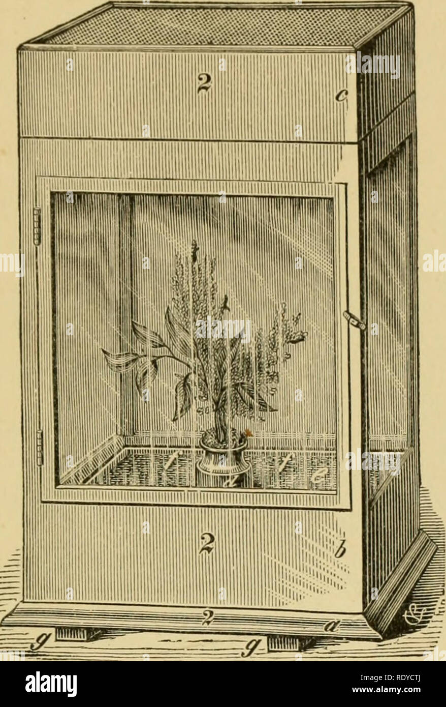 . Ökonomische Entomologie für den Landwirt und der Obstbauer, und für die Verwendung als Text-Buch in der landwirtschaftlichen Schulen und Hochschulen;. Entomologie; Schädlinge. S TR L X '7' C RE UND CLASSIFICA. 51 und leicht in den meisten Fällen von einem besitzen eine Httle Geduld erreicht werden kann. In leaf pflanzenfressenden Insekten alles, was notwendig ist, um eine Lieferung von Nahrungsmitteln mit der Larve, und es in einer Box rf halten können. e, von Zeit zu Zeit zu erneuern, damit frische Lebensmittel können immer zur Verfügung stehen. In der Unterseite des F iG. 27.. ^^ Eine Zucht-Käfig des Riley Muster." Es sollten drei oder vier Zoll. Stockfoto