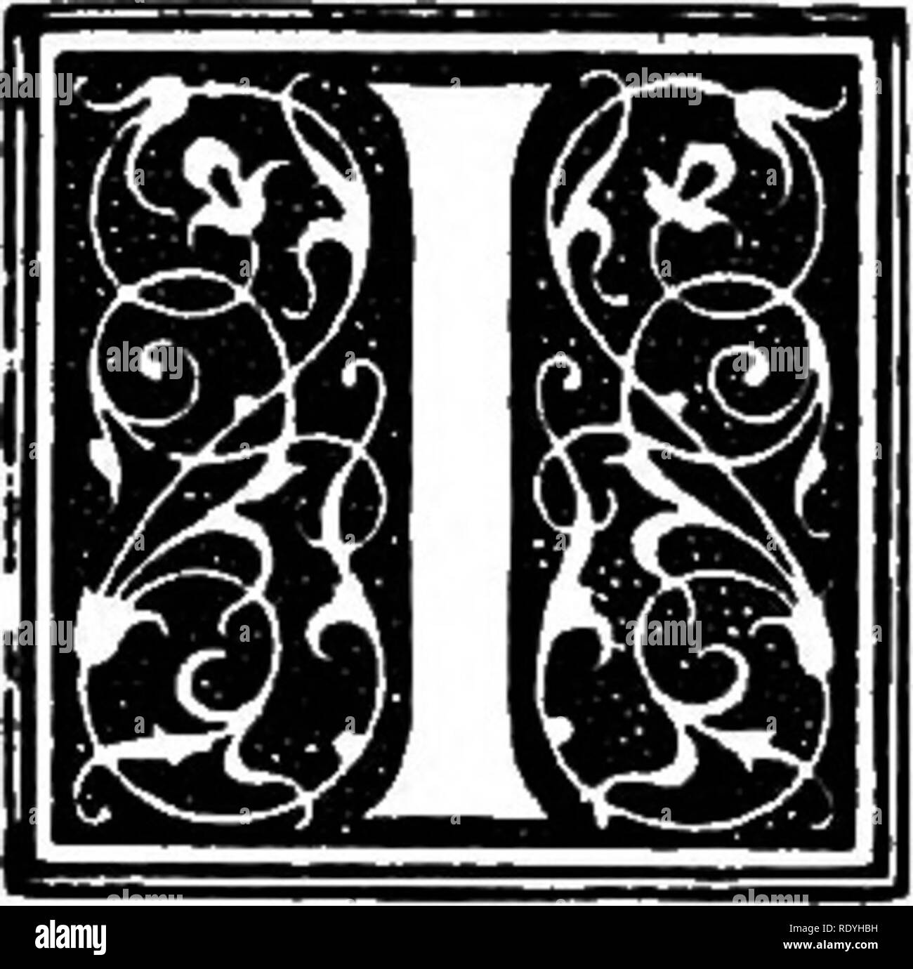 . Der Hund buchen. Eine populäre Geschichte des Hundes, mit praktischen Informationen über die Pflege und Verwaltung von Haus, Zwinger, und Ausstellung Hunde; und Beschreibungen aller wichtigen Rassen. Hunde. Kapitel XLIV die Schottischen Deerhound. F Eine klare Linie der Abstieg zum Irish Wolfhound Vorrang festgelegt werden könnte, wäre der, dass Hund als die älteste Art der Jagd Hund in seiner ursprünglichen Reinheit bewahrt, aber solche nicht der Fall der Ableger davon, der deerhound von Schottland, Wird priority berechtigt. Es ist ein wenig mehr als einzigartige, moderne Autoren auf die Beiden Rassen haben zufriedene themsel Stockfoto