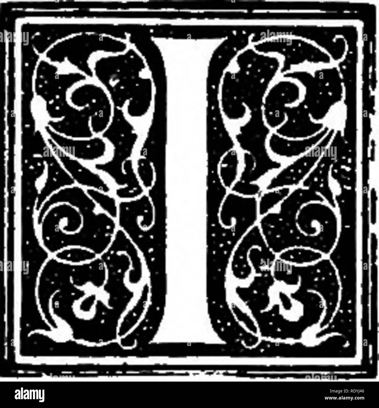 . Der Hund buchen. Eine populäre Geschichte des Hundes, mit praktischen Informationen über die Pflege und Verwaltung von Haus, Zwinger, und Ausstellung Hunde; und Beschreibungen aller wichtigen Rassen. Hunde. Kapitel XXXIX die Dogge N trotz aller Bemühungen um einen deutschen Namen der Dogge, sowohl in England und in diesem Land, das Sie mit wenig Erfolg, aber getroffen haben, zu geben, und obwohl es steht außer Frage, dass wir schulden den Hund der Show-Ring zu sein haben seit vielen Jahren in Deutschland in einer systematischen Weise gezüchtet worden, er ist noch immer, außerhalb des Landes, sein ursprünglicher Name der Dogge. Originzil ist pro Stockfoto