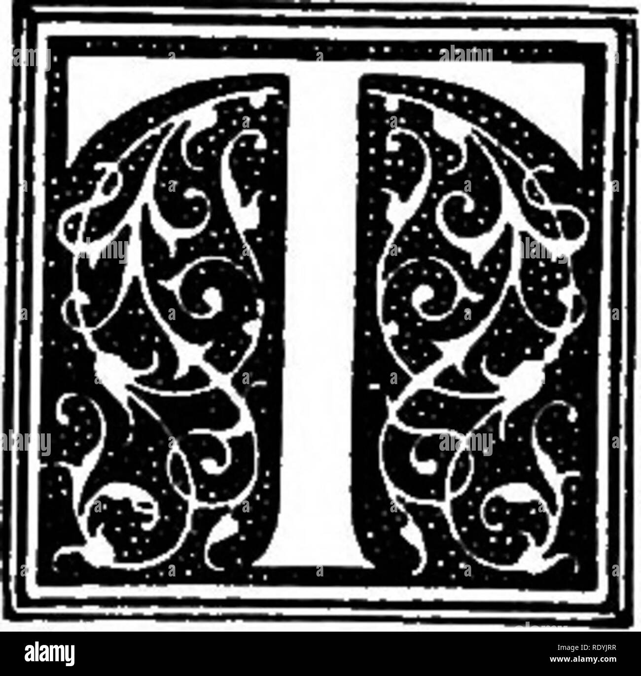 . Der Hund buchen. Eine populäre Geschichte des Hundes, mit praktischen Informationen über die Pflege und Verwaltung von Haus, Zwinger, und Ausstellung Hunde; und Beschreibungen aller wichtigen Rassen. Hunde. Kapitel XXXI der Black and Tan Terrier ich er groß glatt Black and Tan Terrier ist berechtigt, als Rasse mit der alten rauhen Hund der gleichen Farbe zu ordnen. Er wurde gründlich gegründet und über hundert Jahren beschrieben, und die Beschreibung hat gezeigt, dass gerade als er unterscheidet sich heute von anderen Terrier er dann die gleichen Merkmale auf, seine Individualität Mark hatte. Daniel 1803 schrieb tha Stockfoto