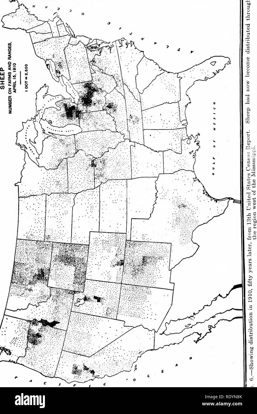 . Produktive Schafzucht. Schafe. 12. DIE ENTWICKLUNG VON SCHAF HEBEN. Bitte beachten Sie, dass diese Bilder sind von der gescannten Seite Bilder, die digital für die Lesbarkeit verbessert haben mögen - Färbung und Aussehen dieser Abbildungen können nicht perfekt dem Original ähneln. extrahiert. Coffey, Walter Castella, 1877. Philadelphia: Lippincott J.B. Stockfoto