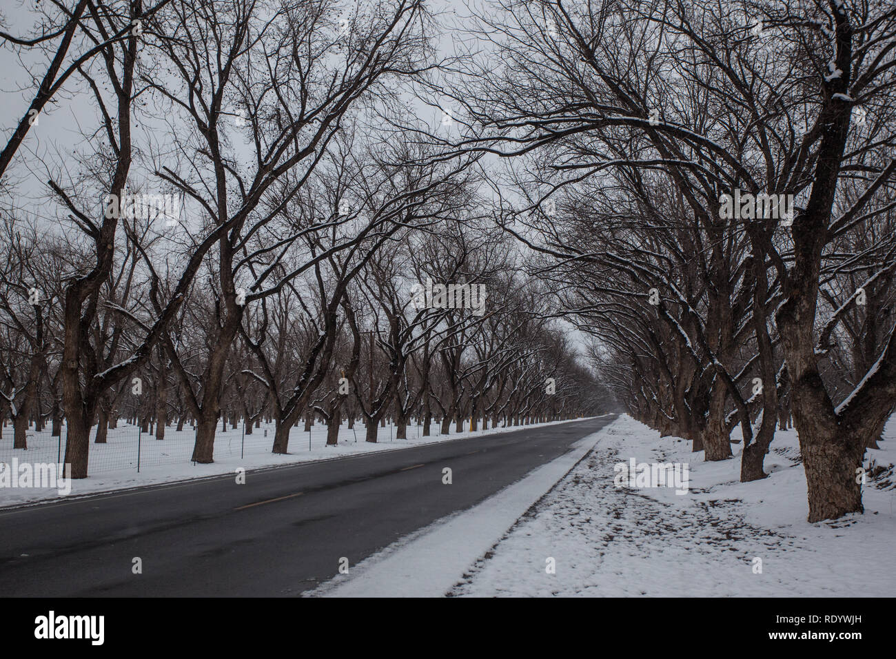 Der Schnee der Autobahn 28 durch die calico Tunnel in New Mexico Mesilla Valley in der Nähe von Las Cruces Stockfoto