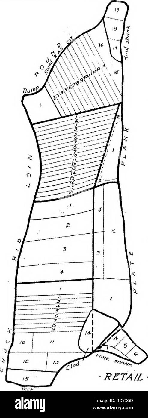 Lende ende -Fotos und -Bildmaterial in.