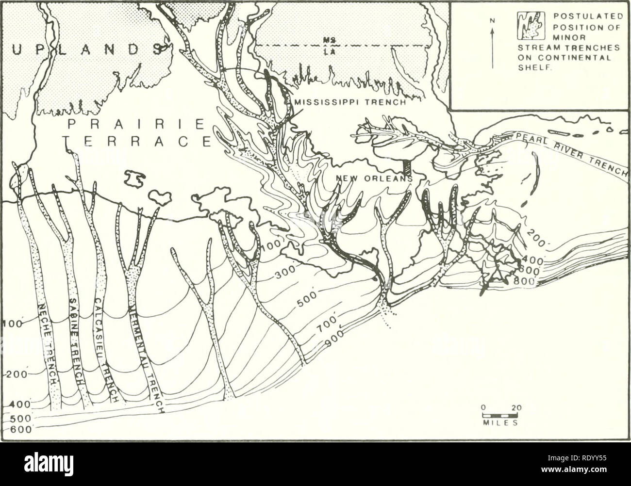 . Die Ökologie der delta Sümpfe des Coastal Louisiana: eine Gemeinschaft Profil. Marsh Ökologie - Louisiana, Feuchtgebiete - Louisiana. deltaischen Küstenebene, die hat eine Fläche von 28,568 km^^, von denen 23.900 km über der Meeresoberfläche ausgesetzt ist (subaerial) (Coleman 1976). In einer seiner früheren Tv der Fluss die Sale-Cypremont Delta entlang der westlichen Flanken des heutigen Mississippi Delta Ebene gebaut. Rund 1.200 Jahre eine umfangreiche Coastal marshland entstanden, bevor der Fluss seinen Kurs zu einem anderen Ort der Ablagerung, die Cocodrie System. Eine ähnliche Abfolge der Ereignisse cont Stockfoto