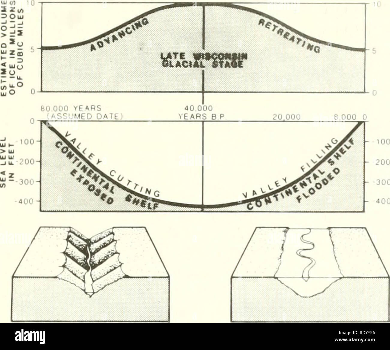 . Die Ökologie der delta Sümpfe des Coastal Louisiana: eine Gemeinschaft Profil. Marsh Ökologie - Louisiana, Feuchtgebiete - Louisiana. Abbildung 13. Die Beziehung aus der Eiszeit voraus und Rückzug zu Continental Shelf Belichtung und Sedimentation während der späten Quartären (nach Fisk 1956). Die Beziehung der Meeresspiegel Änderungen zu Delta und River Valley. Zusätzlich zum Verursachen der Schneid- und Tal füllen, Veränderungen des Meeresspiegels führten zu Migration der Website von Sediment deposition. Während der Meeresspiegel, Deposition verschoben Seaward, Hinterlegung deltaischen Sedimente an oder in der Nähe der Kante des Contin Stockfoto
