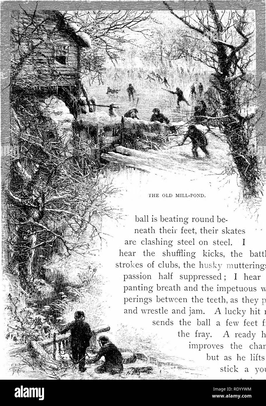 . Pastorale Tage; oder, Erinnerungen an ein neues England Jahr. Natural History. Ball schlagen rund um ihre Füße Neath, ihre Skates'' sind, die sich überschneiden, Stahl auf Stahl. Ich höre das Umverteilen Kicks, die kämpfenden Anschläge der Vereine, der Husky mutterings der Leidenschaft die Hälfte unterdrückt; ich höre die keuchenden Atem und die ungestüme Whis - perings zwischen die Zähne, als sie schieben und Ringen und Marmelade. Ein Glückstreffer sendet nun den Ball ein paar Meter von;,..-. i, - - den Kampf auf. Eine fertige Hand verbessert die Chance; aber als er hebt seinen*t 2 Stick eine junge-ster Nase in der Weise erhält und verwöhnt seine Schlaganfall; Er schlüpft, und fällt auf Stockfoto