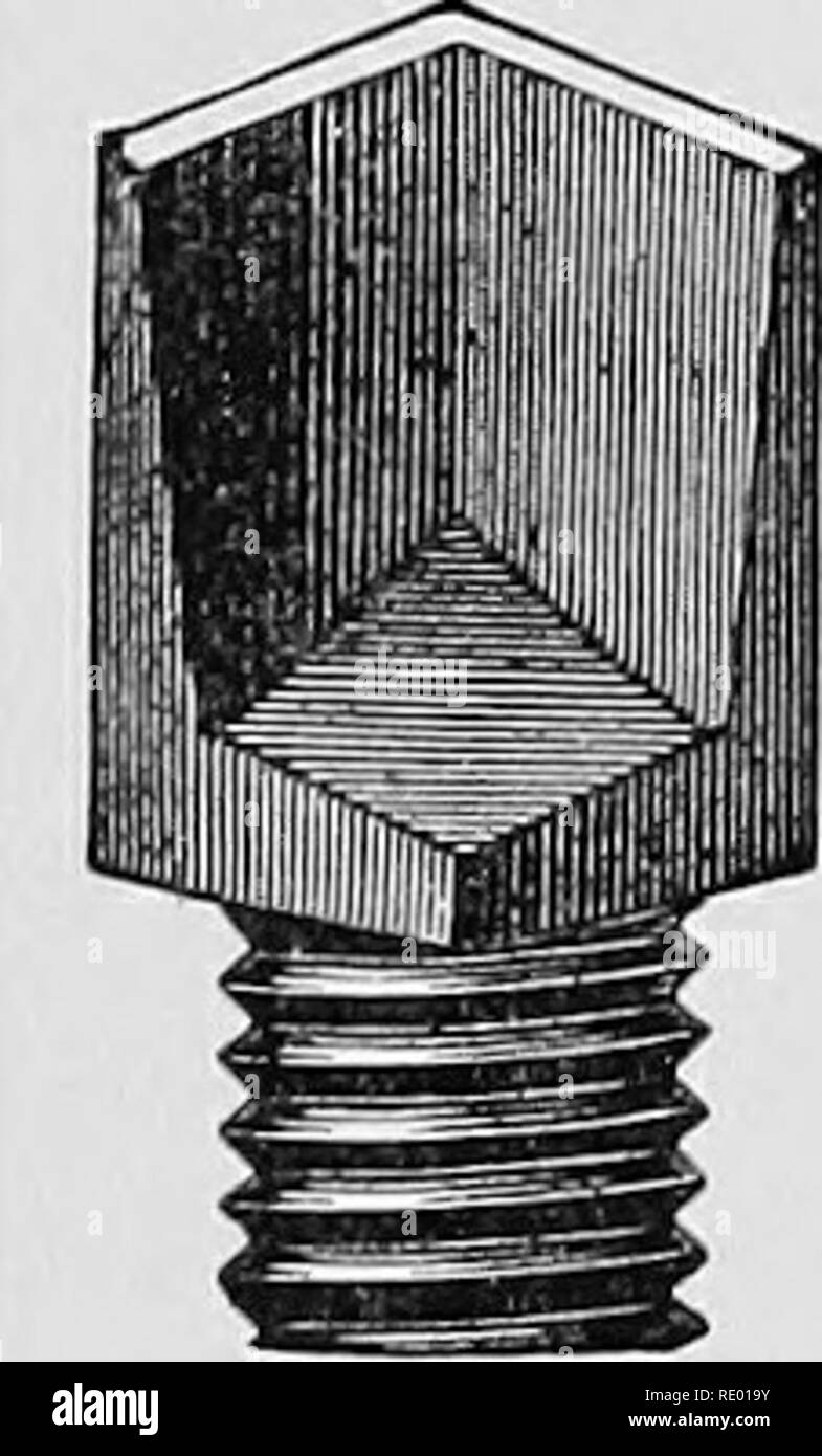 . Ein text-Buch von horseshoeing für horseshoers und Tierärzte. Horseshoeing. 122 HORSESHOEING. 8. Hohl Keil - calks von Arnstein & Amp; Martin, Berlin S., Stall-schreiberstrasse, Nr. 60 (Abb. 115.) 9. Perforierte Schraube - calks von A.Lungwitz, Dresden (Abb. 116). 10. Federung calks von Sickert, Dresden; und viele mehr. Abb. 113. Abb. 114. Abb. 115. Abb. 116.. Comer calk (Winkel - stoUen) von Branscheid &Amp; Philippi. Star calk von Gotz &Amp; Co. Hohl calk von ARN-stein &Amp; Martin. Perforierte calk von A.Lungwitz. Es besteht kein Zweifel, dass der Griff, dass diese calks auf dem Boden und thei nehmen Stockfoto