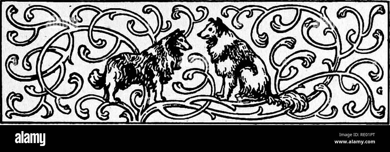 . Die Straße nach Dumbiedykes; einige abschweifende Gedanken eines Menschen, der es gefunden. Natural History. Die Straße nach Dumbiedykes KAPITEL I ein Junge und ein Hund der Collies, Fox Terrier und in der Tat die meisten anderen Arten der Hunde in den Städten ist ein Verbrechen. Ich spreche natürlich von echten Hunde, nicht jene armen degeneriert Sie können in der Limousine oder dem Schoß meiner Frau sehen. Diese können interessant für die Schüler der Tierzucht, da Illus trations-von, wie Männer Wählerpotentials berauben die Brute-force-Erstellung durch die Applica-tion von gut verstanden Grundsätze der Auswahl, Konzentration im Blut und Auskreuzung, aber die Ergebnisse werden nicht zu meinem mi Stockfoto