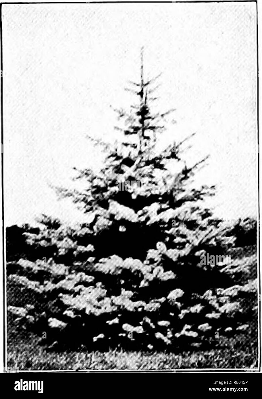 Niobe Weinen Stockfotos Und Bilder Kaufen Alamy