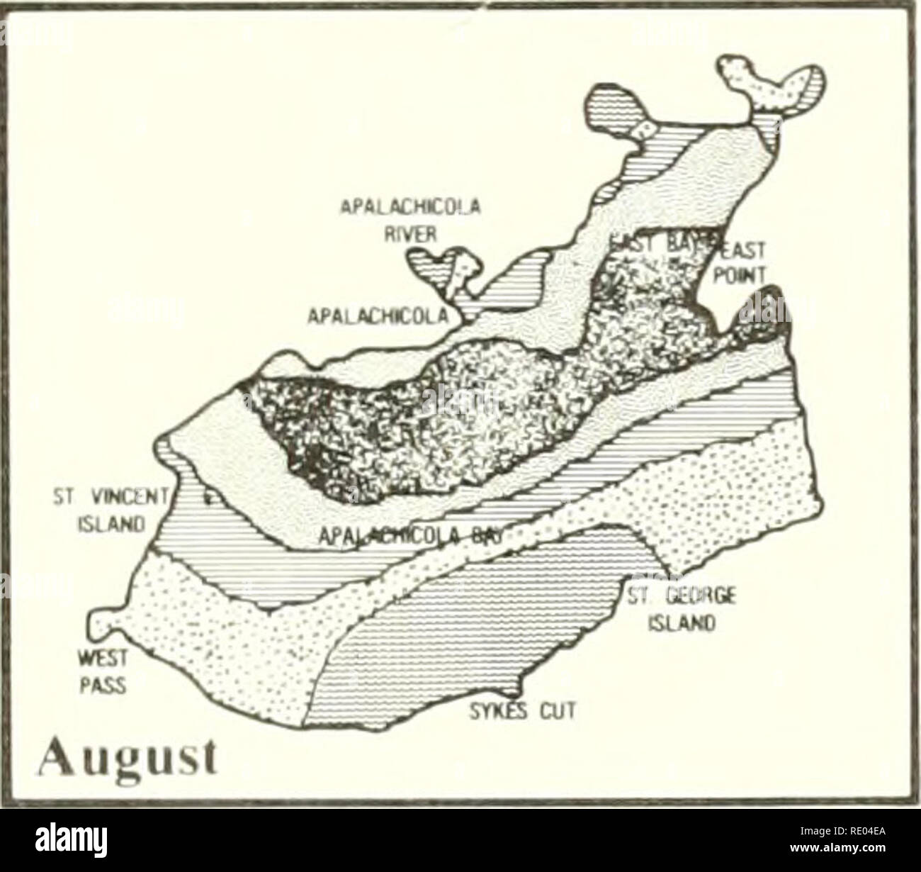 . Die Ökologie der Apalachicola Bay System: ein Ästuar- Profil. Mündungs- Ökologie - Florida Apalachicola Bucht; Mündungs- Bereich Erhaltung - Florida. w "i*O "A" 1^><,^^ Sl Â" Nt Novem ber^^^^^^^^^^^^ WalacmciaVj APALACMCOm prm -.^^ j '^'^L/â""""/6P4iÂ" d. h | i. uu Wi-^^p*ss^*^E-, ---'^S CUI fvti*^ Dezember lndiMdii; jK pi-r-iMii MJntik-l^u^^ l Tn h Monlli 0,0-2,0 2,0-5,0 5,0-lO.O 10,0 - 15,0 15,0 - 25,0 25,0 -. W.O Abbildung 31. Durchschnittliche monatliche Verteilung der sand Meerforelle (Cynoscion Arenarius) in der Apalachicola Mündung von 1972 bis 1979. 71. Stockfoto