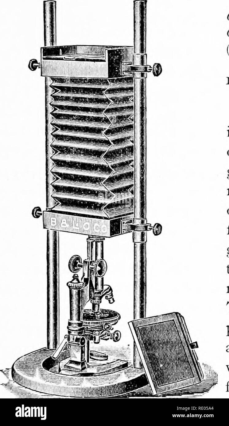 . Das Mikroskop und mikroskopischer Methoden. Mikroskope; 1896. CH. Viii} PHO-MICROGRA PHY. Viele Arbeitnehmer finden die einzige Gelegenheit für die Arbeit. Nach dem Sonnenlicht, das elektrische Licht ist die intensivste der verfügbaren Lichter. Dann kommt magnesi - äh, der Kalk Licht, die Gas-Leuchten oder Wellsbach Licht, und zuletzt, Petroleum Licht. Die letzte ist ausgezeichnet für die Mehrheit der geringen und mittleren Leistung arbeiten. Und sogar für 2 mm. homogenen immersion Ziele, die Zeit der Exposition nicht übermäßig ist für viele Exemplare (l% bis 3 Minuten). Dieses Licht ist auch billigste und am meisten zur Verfügung. Abb. 148. Vertikale Stockfoto