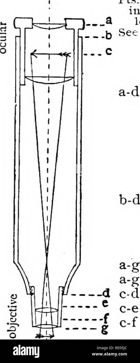 . Das Mikroskop; eine Einführung in die mikroskopische Methoden und Histologie. Mikroskope; 1899. CH. I.] MIKROSKOP UND ZUBEHÖR. i.S. von Tube-Länge "ich Millimeter. Länge in Millimetern und Teile sind im "Tube-Length verschiedenen Augenoptiker. '1' Pts. In "Tube - eine Länge.". b Siehe Diagramm. ...C fGrunow, New York 203 mm. E. Leitz, Wetzlar 170 mm. Ich Nachet et Fils, Paris. • • 146 oder 200 mm. a-d Powell und Seeland, London.... 254 mm. Ich C. Reichert, Wien 160 bis 180 mm. Ich Spencer Objektiv Co., Buffalo 235 oder 160 mm. [W. Wales, New York 254 mm. Bausch &Amp; Lomb Opt. Stockfoto