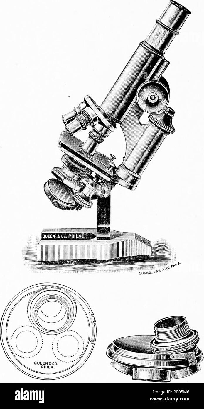 . Das Mikroskop; eine Einführung in die mikroskopische Methoden und Histologie. Mikroskope. So LABOR MIKROSKOPE [CM. Ii. . J'G-79'A Q^en&amp; Co Continental Mikroskop, Nr. II. B. pnece DusLfirool triple Nase - der Unterschied zwischen den Dosen und der Ord.ua, y-Form kann durch compartng mit Bild gesehen werden. s6. Diese Form der revolvierenden Nase-Stück für viele Jahre gebildet wurde durch Winkel in Göttingen.. Bitte beachten Sie, dass diese Bilder aus gescannten Seite Bilder, die digital für die Lesbarkeit verbessert haben mögen - Färbung und Aussehen dieser Abbildungen können nicht perfekt die Ori ähneln extrahiert werden Stockfoto