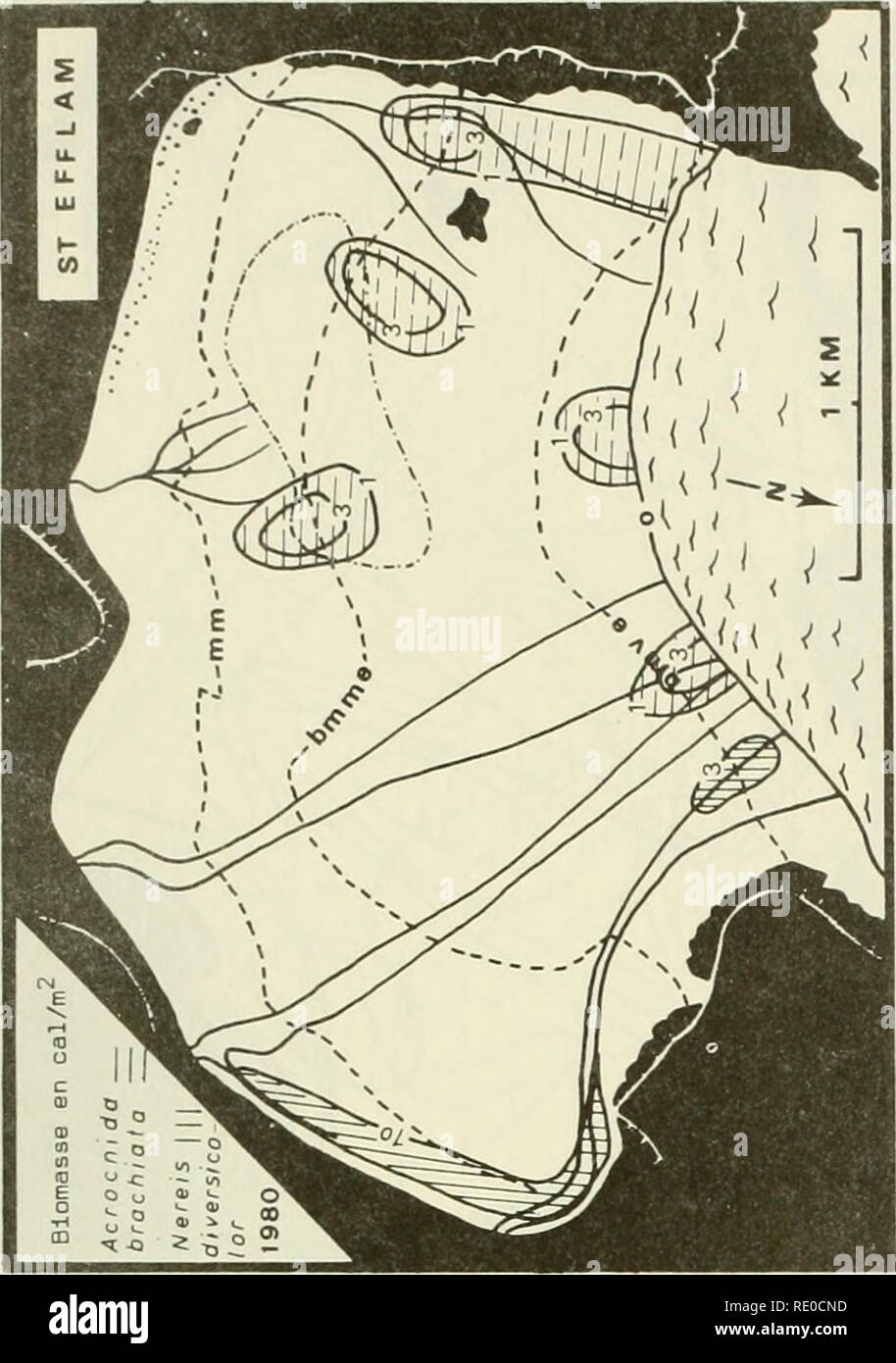 . Ökologische Studie der Amoco Cadiz Ölpest: Bericht des NOAA-CNEXO Gemeinsame wissenschaftliche Kommission. Amoco Cadiz (Schiff); Ölunfälle - Umweltaspekte Frankreich; Ölunfälle - Umweltaspekte Nordatlantik. o. Bitte beachten Sie, dass diese Bilder sind von der gescannten Seite Bilder, die digital für die Lesbarkeit verbessert haben mögen - Färbung und Aussehen dieser Abbildungen können nicht perfekt dem Original ähneln. extrahiert. NOAA-CNEXO Gemeinsame wissenschaftliche Kommission. [Rockville, MD: US Dept. für Handel, nationale ozeanische und atmosphärische Leitung; [Paris]: Centr Stockfoto