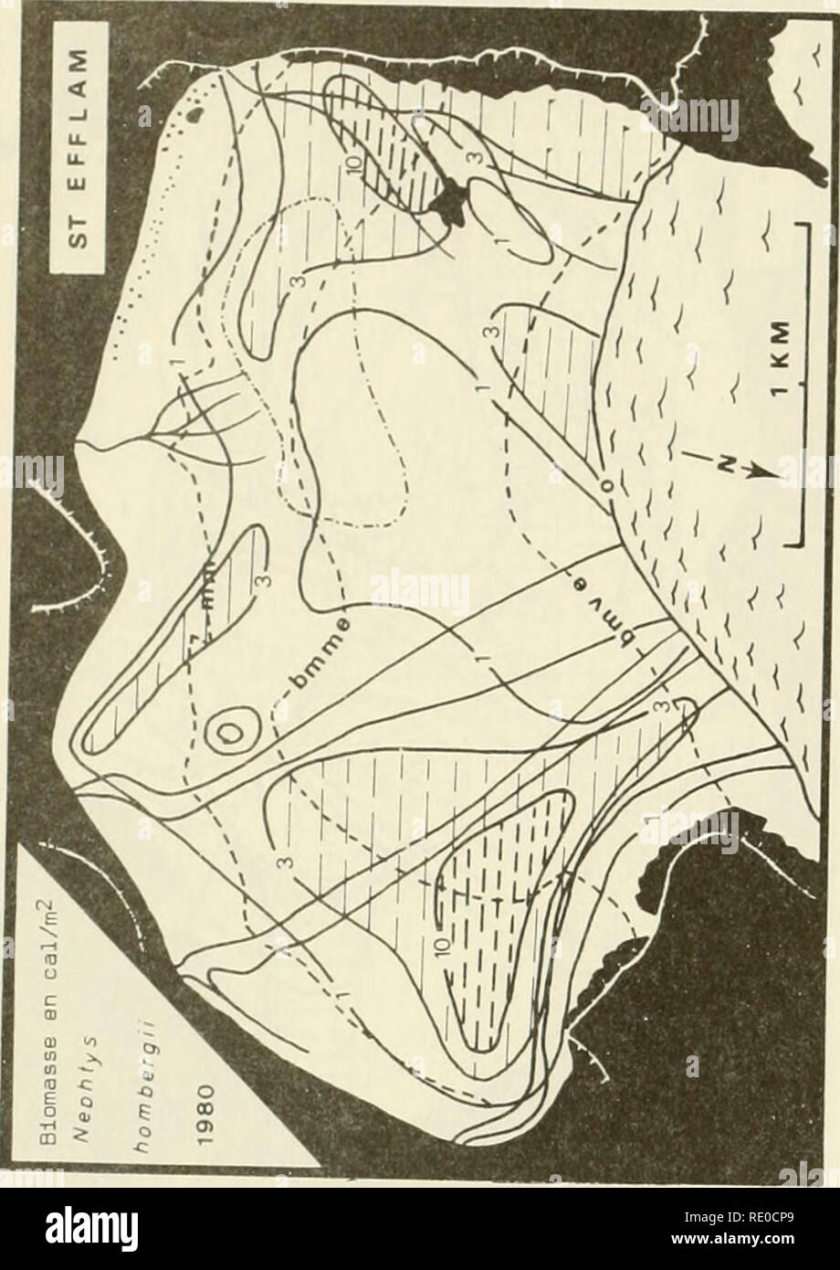 . Ökologische Studie der Amoco Cadiz Ölpest: Bericht des NOAA-CNEXO Gemeinsame wissenschaftliche Kommission. Amoco Cadiz (Schiff); Ölunfälle - Umweltaspekte Frankreich; Ölunfälle - Umweltaspekte Nordatlantik. Co.Bitte beachten Sie, dass diese Bilder sind von der gescannten Seite Bilder, die digital für die Lesbarkeit verbessert haben mögen - Färbung und Aussehen dieser Abbildungen können nicht perfekt dem Original ähneln. extrahiert. NOAA-CNEXO Gemeinsame wissenschaftliche Kommission. [Rockville, MD: US Dept. für Handel, nationale ozeanische und atmosphärische Leitung; [Paris]: Cent Stockfoto