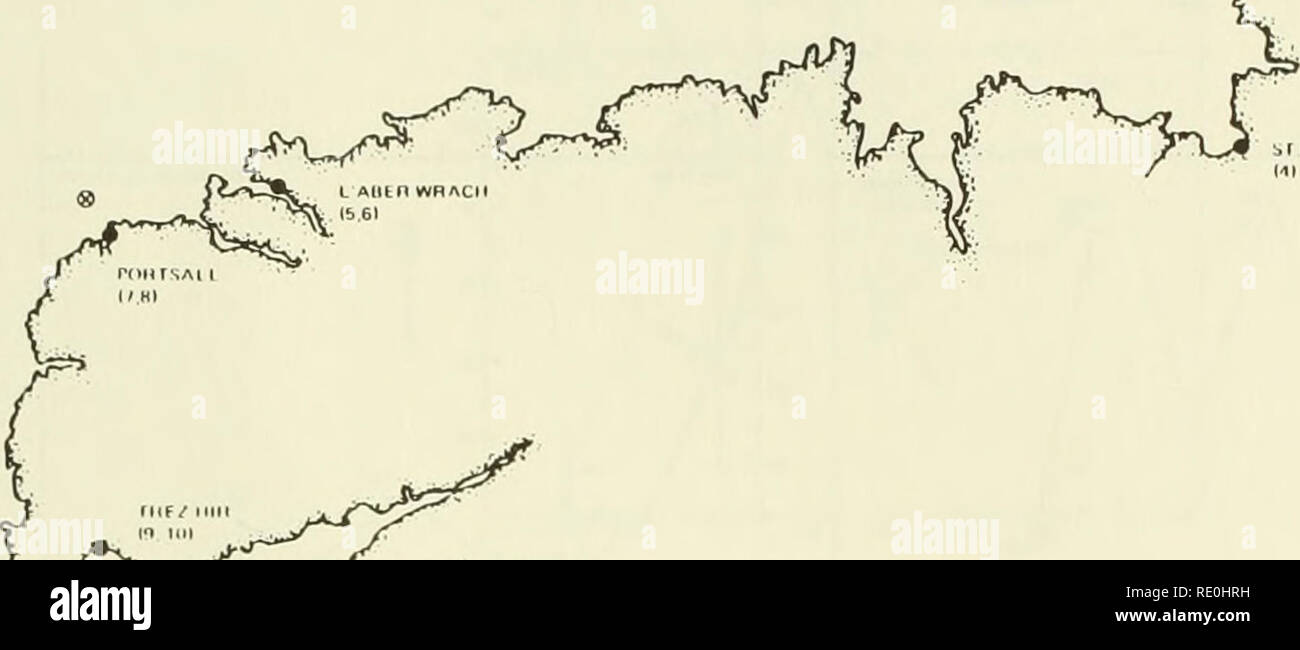 . Ökologische Studie der Amoco Cadiz Ölpest: Bericht des NOAA-CNEXO Gemeinsame wissenschaftliche Kommission. Amoco Cadiz (Schiff); Ölunfälle - Umweltaspekte Frankreich; Ölunfälle - Umweltaspekte Nordatlantik. ..,^:&gt; (MM III I l Ri mil Vt Abbildung 3.7. Die Oberfläche sediment Sampling Standorte (Atlas) Tabelle 5. AMOCO CADIZ Chemie Programm; Oberflächensedimente (Atlas). Frequenz April 1978 - Oktober 1978 (Caldec) Dezember 1978 März 1979 Juli 1979 November 1979 März 1980 Mai 1981 Insgesamt 20 10 12 15 11 12 80 Kationen zehn primären Stationen 1,2,3 Er Grande 4 St. Michel-en-Greve 5,6 L'Aber Stockfoto
