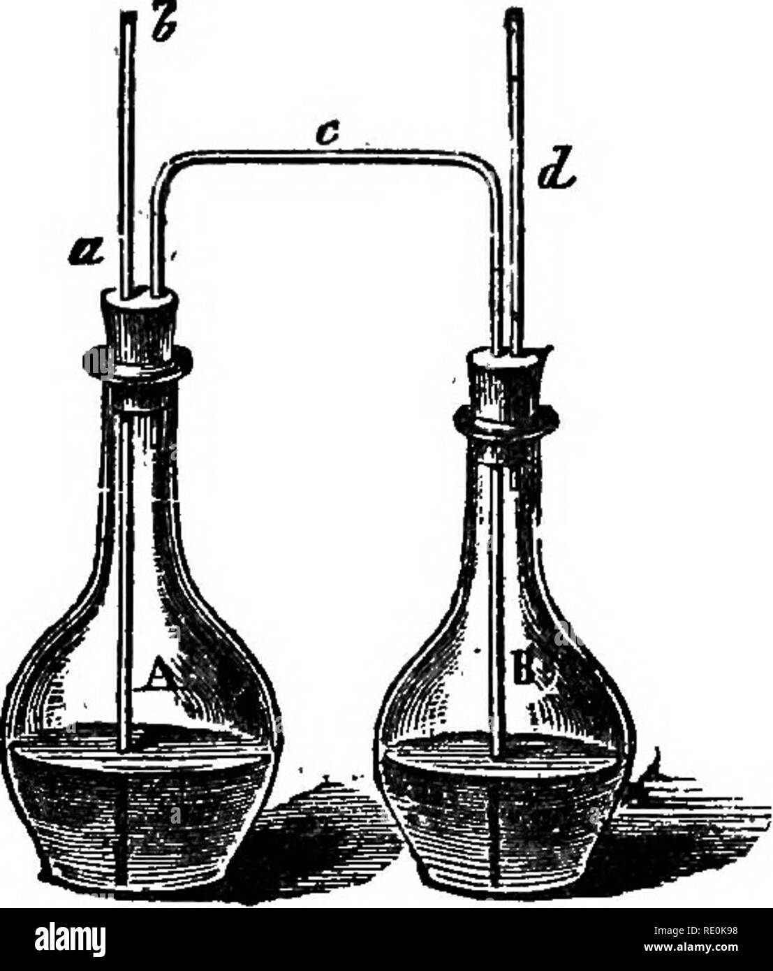 . Anlage: Qualitative und quantitative Analyse. Pflanzen. 216 GLUCOSES, SACCHAROSES, etc. Zu diesem Zweck Heizung für eine Stunde bis 60° mit der Überschreitung der alkaUne Kupfers, Filterung und Wiegen der Kupferoxid pre-cipitated (§ 83). Die Fehler, die durch diese Methode, die an die besten Zeiten nur ungefähre Ergebnisse können jdeld beteiligt sind, sind das Thema der conimunications'^j Fresenius^ und Gratama.^ § 204. Fermmtation Test (§ 86). - zu Glukose mit diesem Test ein wenig von dem. vermutete Lösung evapomted ist, bis es mindestens 5 Prozent enthält, von Zucker erkennen. Nach dem Abkühlen ein paar Tropfen Stockfoto