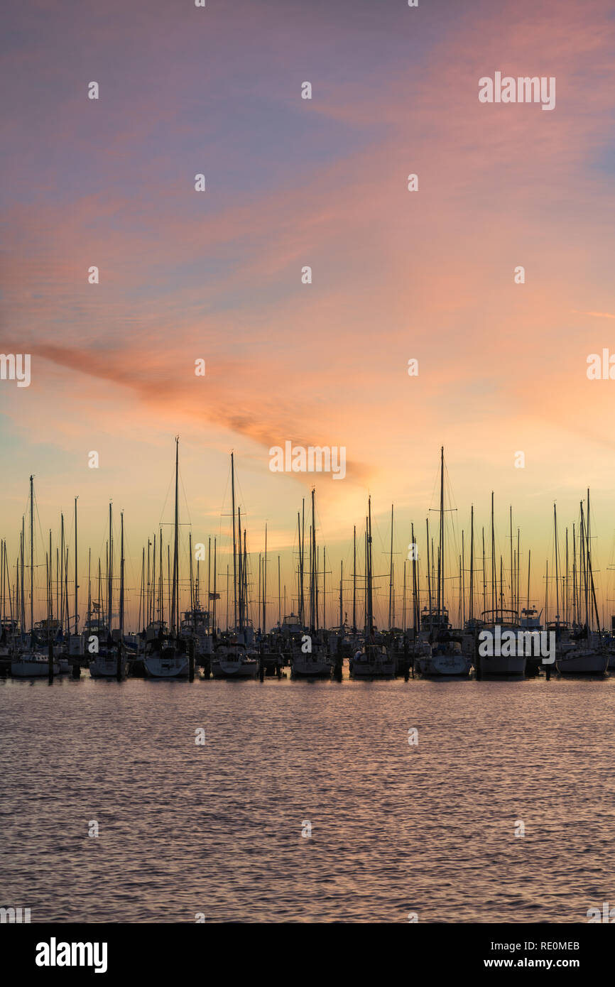 Segelboote bei Sonnenaufgang am südlichen Yachthafen in St. Petersburg, Florida Stockfoto