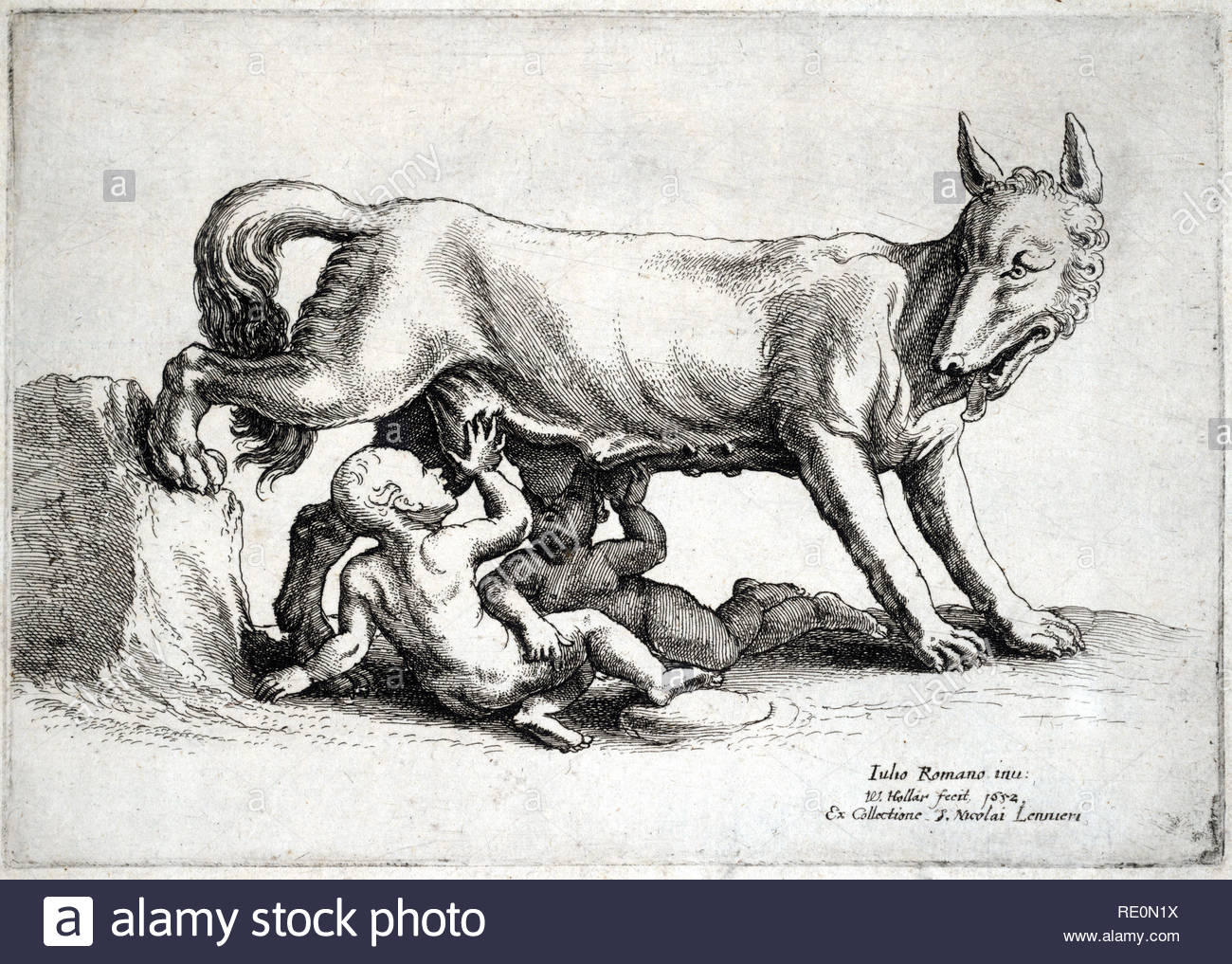 Romulus und Remus, sind Zwillingsbrüder, dessen Geschichte die Ereignisse, die zu der Gründung der Stadt Rom und das Römische Reich von Romulus led erzählt. Radierung von Böhmische Kupferstecher Wenzel Hollar aus 1652 Stockfoto