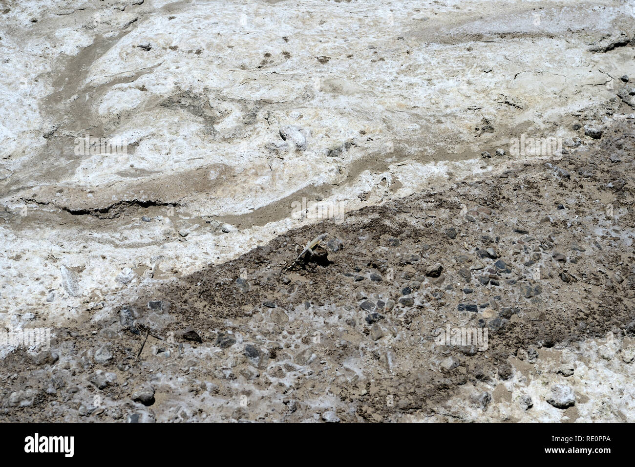 Trockene Land von Salt Creek Trail. Death Valley National Park, Kalifornien, USA Stockfoto