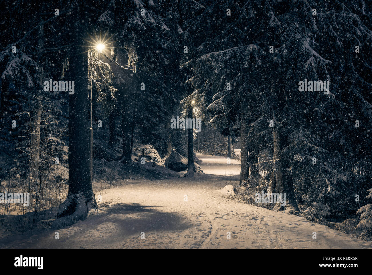 Moody Landschaft mit Schnee weg und Licht im Winter abends in Finnland Stockfoto