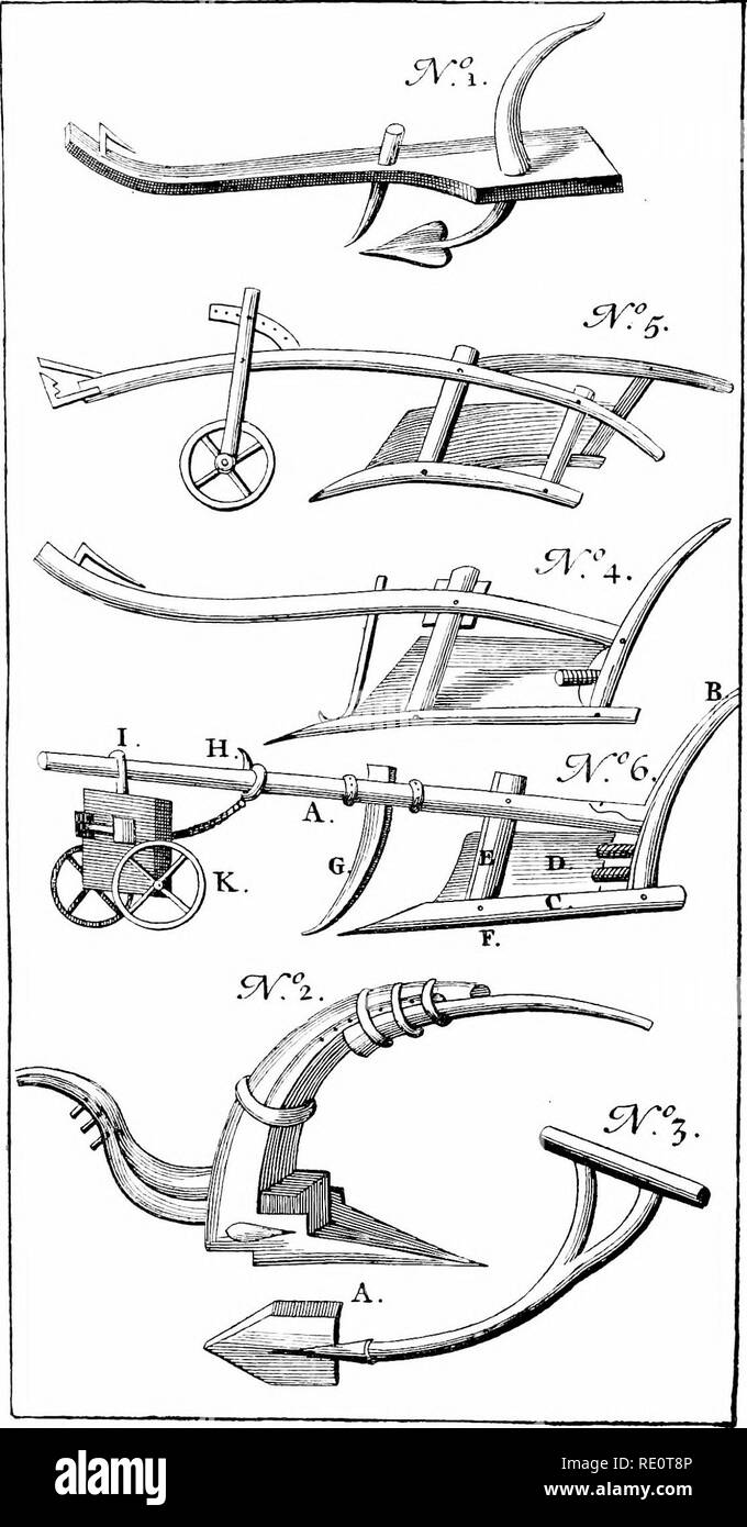 . Cyclopedia der amerikanischen Gartenbau, bestehend aus Anregungen für den Anbau von Gartenpflanzen, Beschreibungen der Arten von Obst, Gemüse, Blumen und Zierpflanzen in den Vereinigten Staaten und in Kanada verkauft, zusammen mit geographischen und Biographische Skizzen. Im Garten arbeiten. 1820 ZU I. geben die allgemeinen hygienischen Bedingungen des Ortes und wählen Sie den verletzten Früchte so schnell wie die Krankheit entwickelt. L H.B. TOMATE. Schale T. ist Plni-Salis piffu Cens. Erdbeere T. ist PJiijsalls Alki "Kt" iKji und Pu-hescens. Tomaten, Baum. Cyphom - 2527. Alte Pflüge, reproduziert Fro Stockfoto