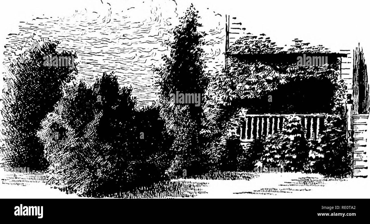 . Cyclopedia der amerikanischen Gartenbau, bestehend aus Anregungen für den Anbau von Gartenpflanzen, Beschreibungen der Arten von Obst, Gemüse, Blumen und Zierpflanzen in den Vereinigten Staaten und in Kanada verkauft, zusammen mit geographischen und Biographische Skizzen. Im Garten arbeiten. 880 Landschaft (JAKDEXING GARTENKUNST, die letzte Ruhestätte von der Ruhe und der Schönheit dieser Funktionen von HANDI der Natur sxirrouuded werden sollten - Arbeiten ohne störende Mauerwerk oder artitioial Objekte. Es gibt andere, die sagen, "Der Friedhof shoukl ein Friedhof sein," Bedeutung von Diese E Stockfoto