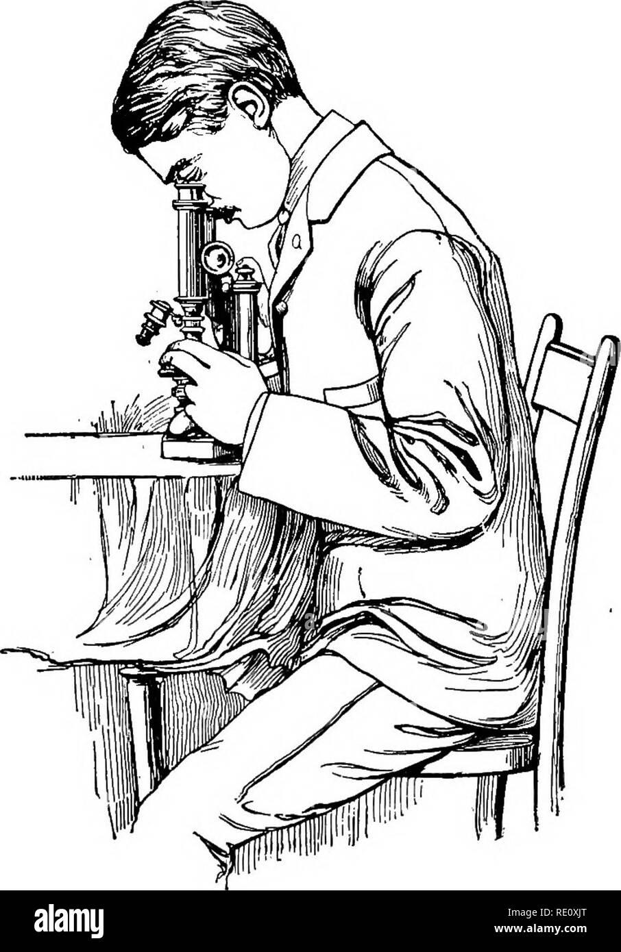 . Anlage Anatomie aus der Sicht der Entwicklung und Funktionen der Gewebe, und Handbuch der Micro-Technic. Anlage Anatomie. 272 VERWENDUNG DES MIKROSKOPS durch die Säule unter der Bühne, nie durch den Arm oder die Feineinstellung -- Säule, da die Feineinstellung Lager könnte auf diese Weise verletzt werden. Eine Position in der Nähe eines Fensters, in dem das Licht vom Himmel frei sein werden, aber wo die direkte Sonneneinstrahlung wird nicht auf das Mikroskop fallen. Ein Fenster ist es bevorzugen - in der Lage, wo die zu helle Licht der Sonne kann nicht mit guten Anblick stören. Das Mikroskop oh den Tisch wie in der Abbildung gezeigt. Abb. Stockfoto