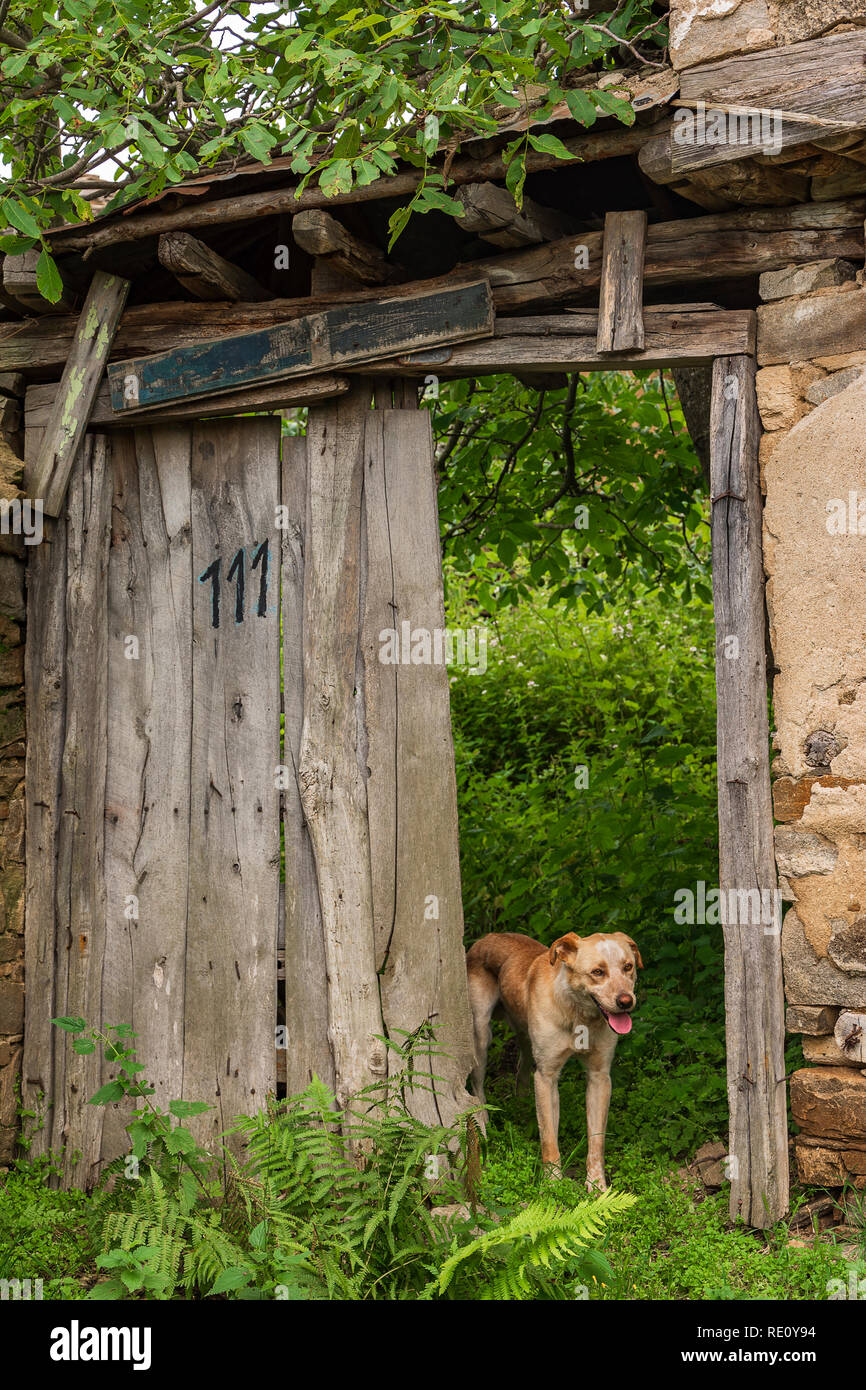 Verlassenes Haus in der bulgarischen Dorf Stockfoto