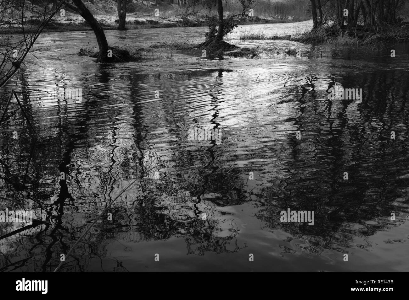 Fluten eines Flusses im Winter an den deutschen Bereich Sieg Stockfoto