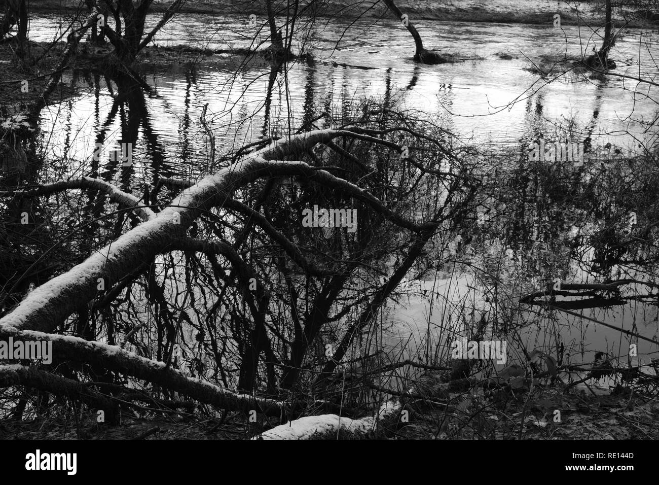 Fluten eines Flusses im Winter an den deutschen Bereich Sieg Stockfoto